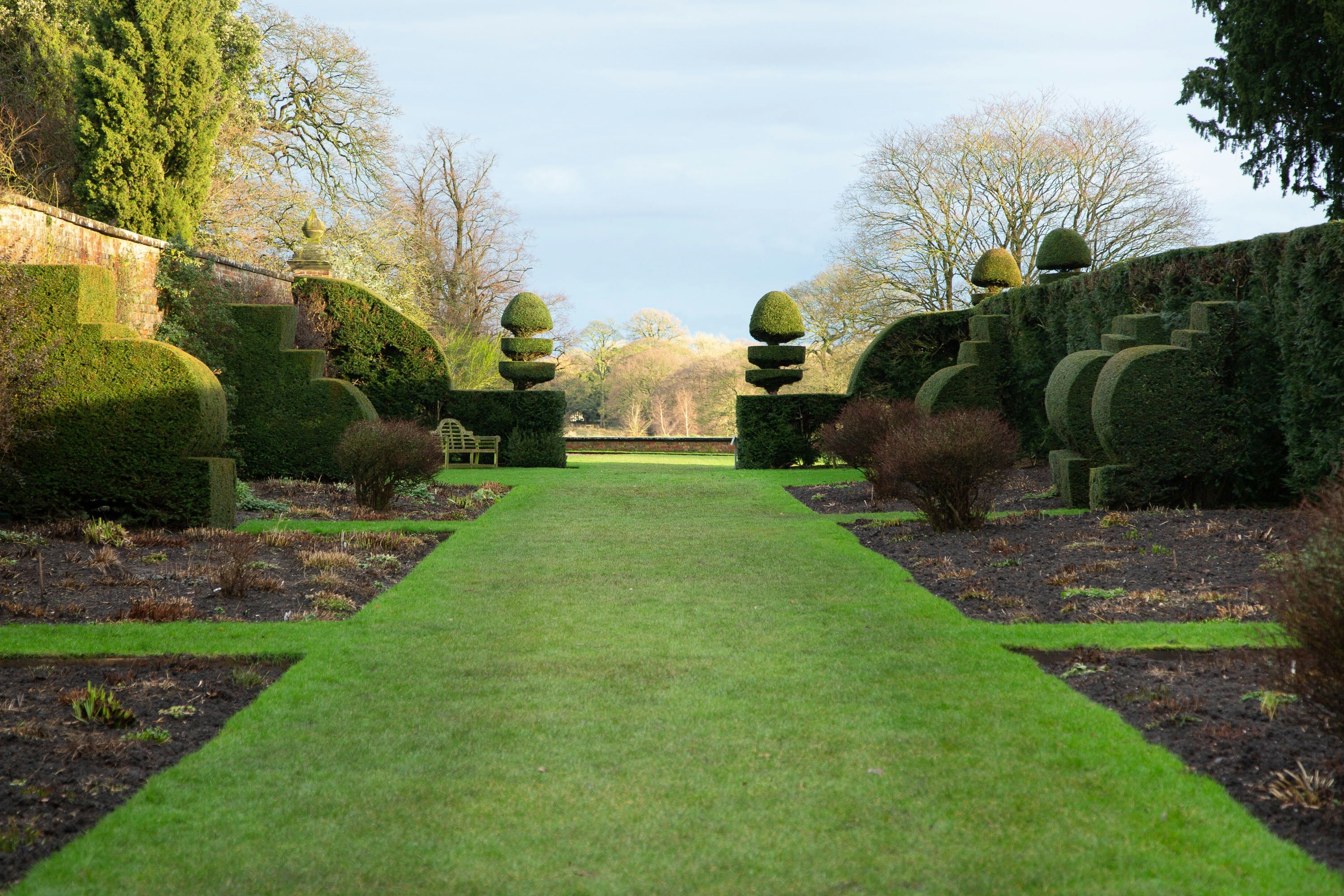 ✂️🌿 MOW + HEDGE TRIM — One-off Visit