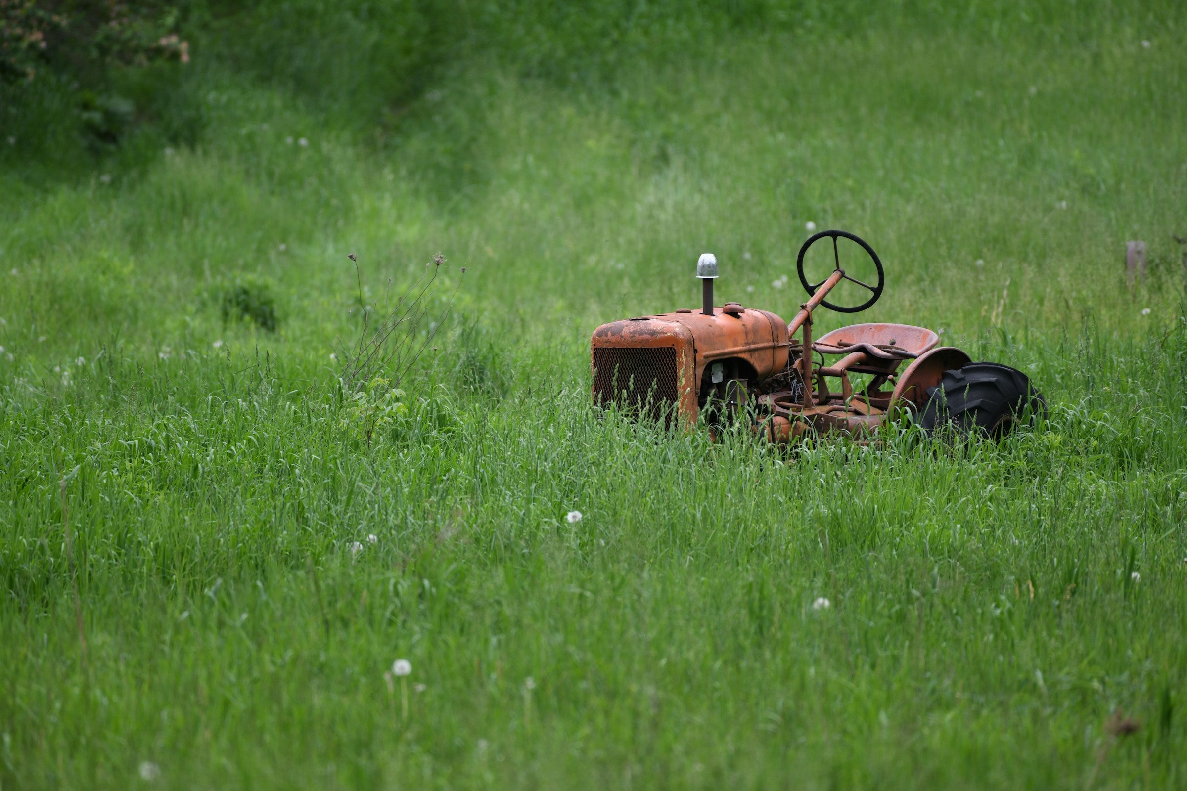 Standard Plan — Full Garden Care